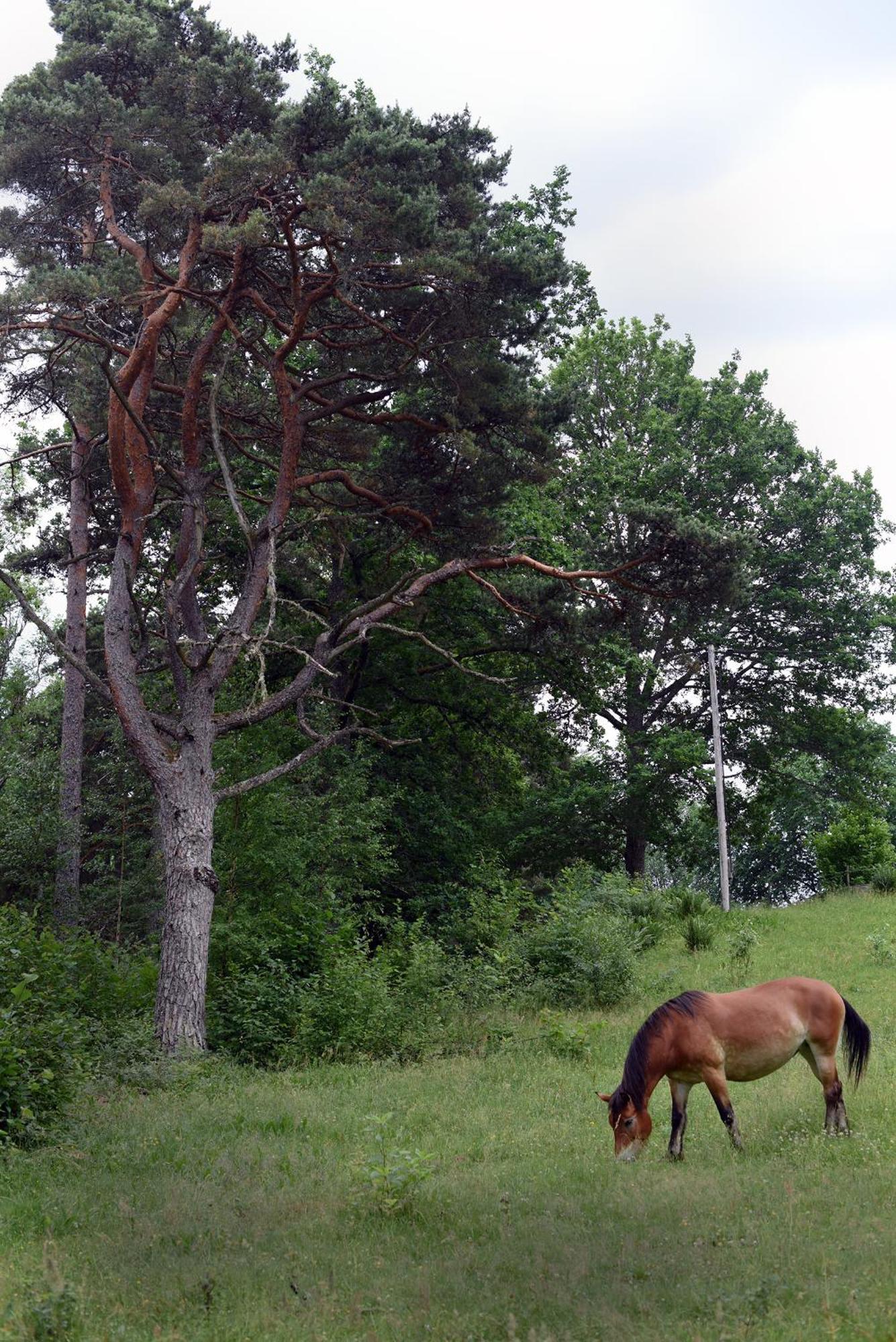 Henneviken Bnb Ed ภายนอก รูปภาพ