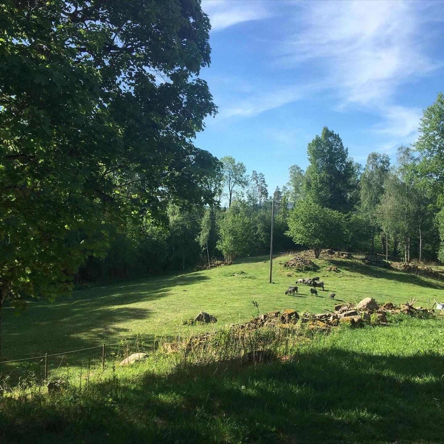 Henneviken Bnb Ed ภายนอก รูปภาพ
